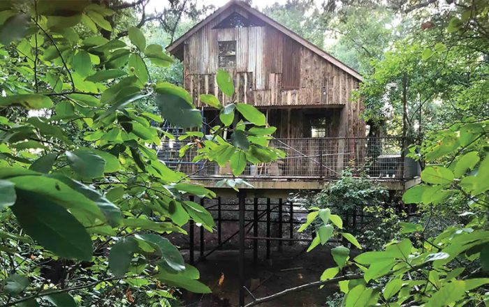 The Hobbit Tree House