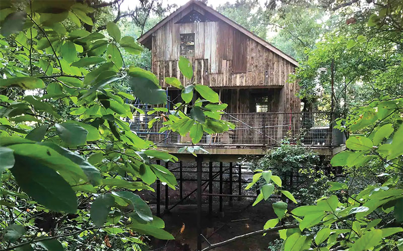 The Hobbit Tree House